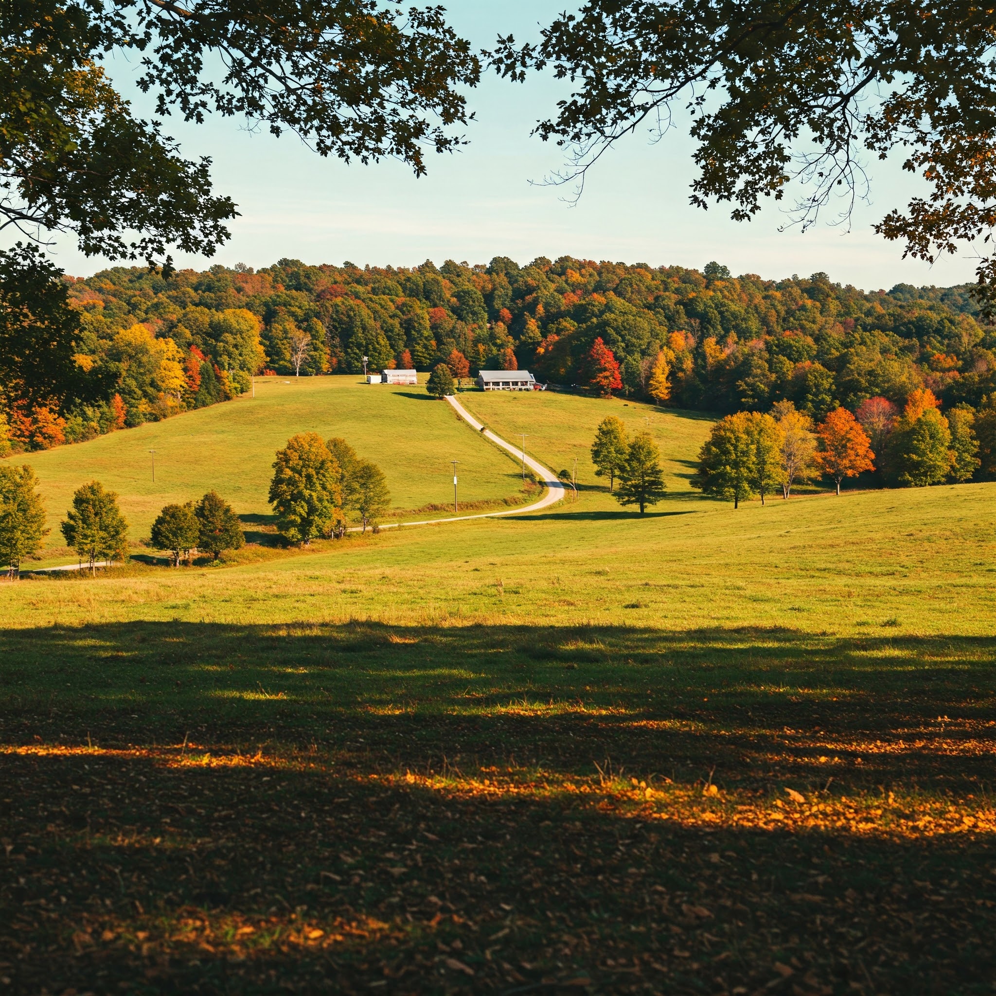 north carolina dscr loan